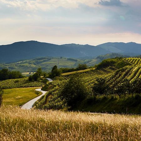 Fine Rooms Vipava Bagian luar foto