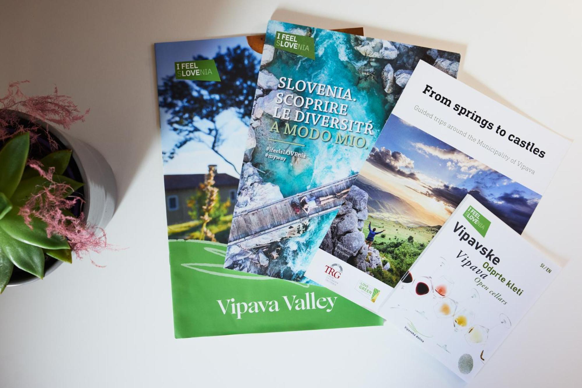 Fine Rooms Vipava Bagian luar foto