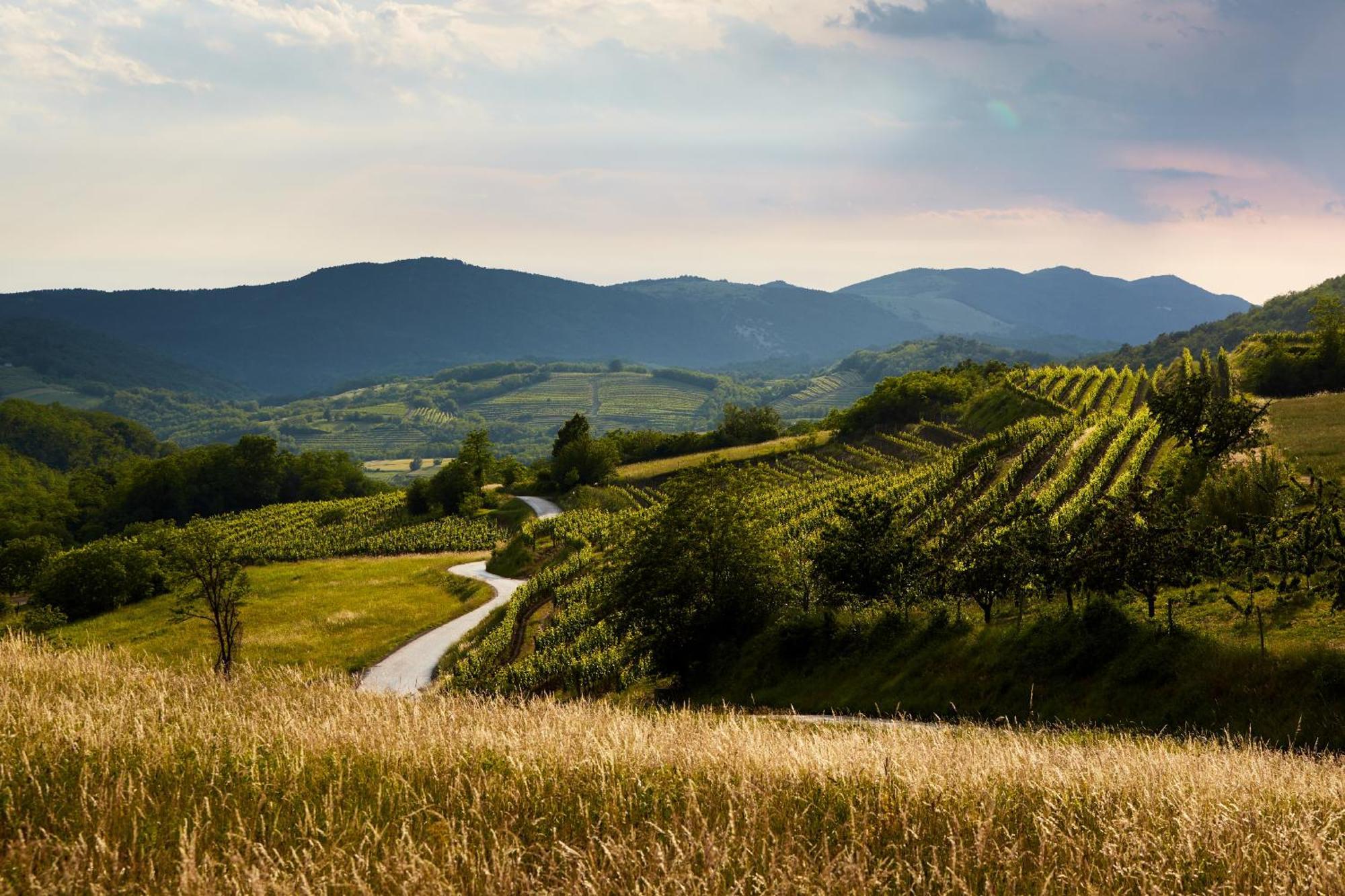 Fine Rooms Vipava Bagian luar foto