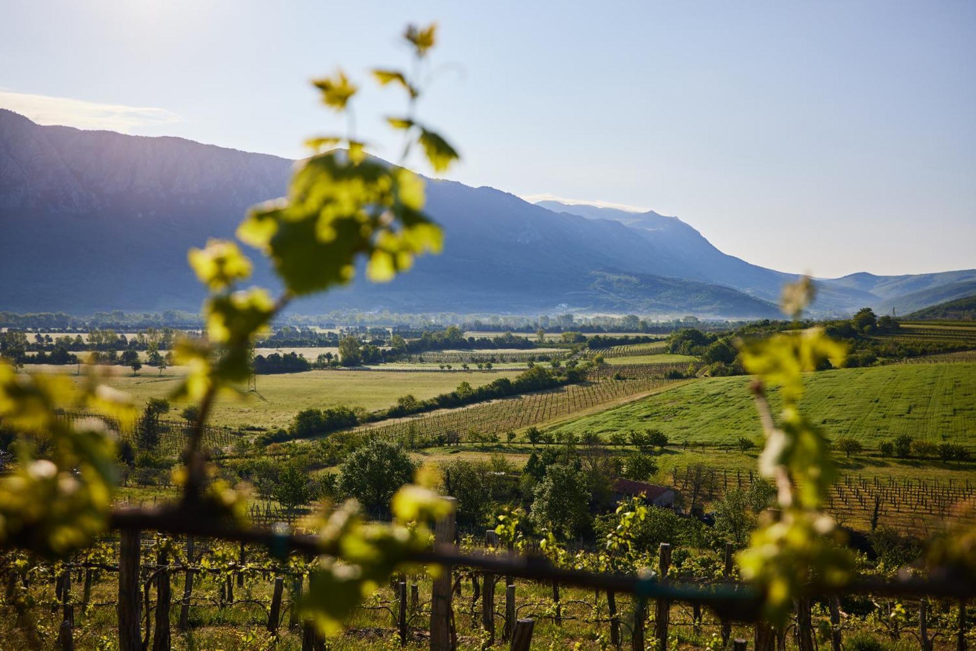 Fine Rooms Vipava Bagian luar foto